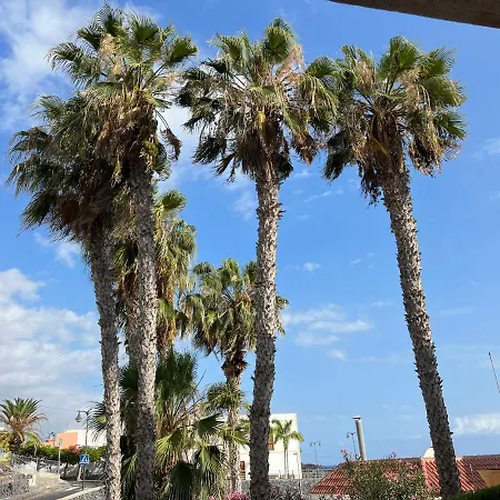Apartment Alcamar Brand With 2 Bedroom And Private Bathroom Near The Sea! Alcala (Tenerife)